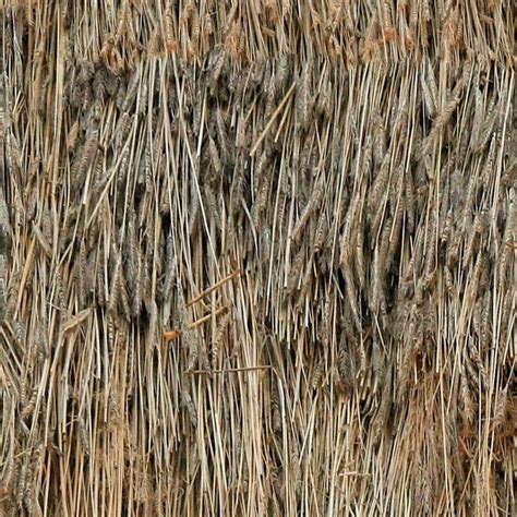 Thatched Roof Texture Seamless 04044
