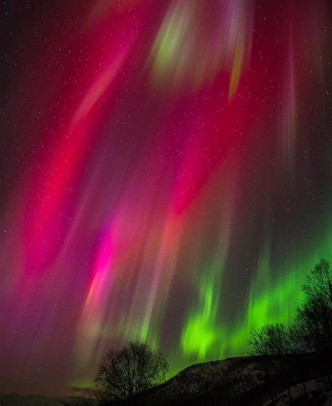 Magical Unique Pink Northern Lights Dancing Above Our Hotel Senja