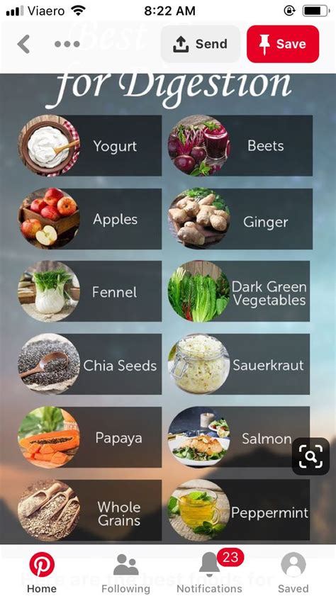 Foods That Are Easy To Digest And Hard To Digest Artofit