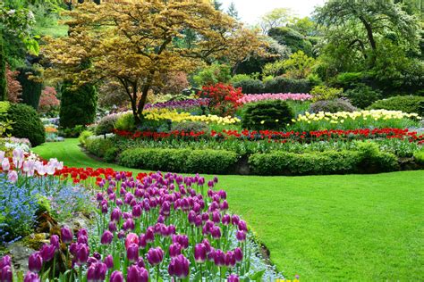 World Renowned Butchart Gardens On Vancouver Island Traveling Islanders