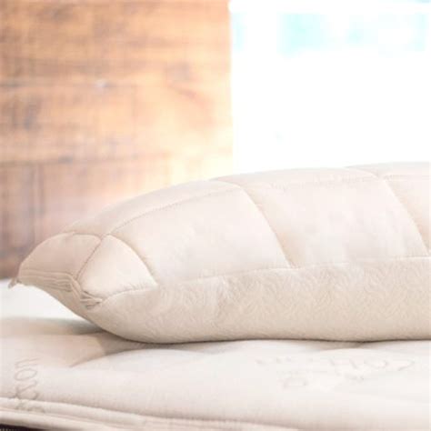 Naturepedic Organic Cotton And Pla Standard Size Pillow Usa Made