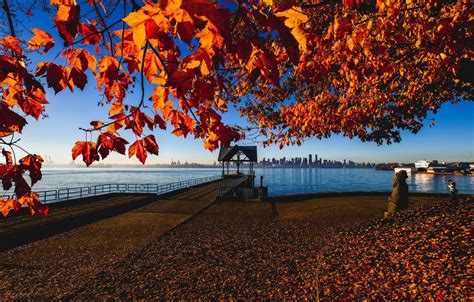 Wallpaper Autumn Canada Vancouver Canada Vancouver Images For