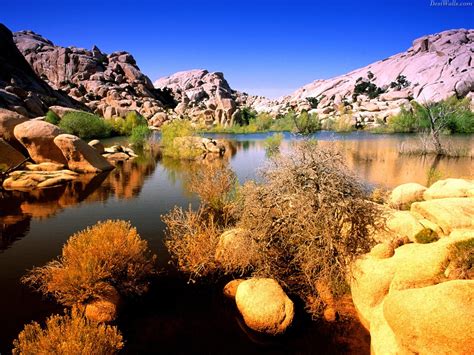 Top World Travel Destinations Popular National Parks In California