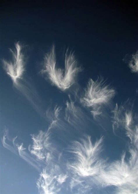 Angels In The Sky Angel Clouds Clouds Beautiful Nature