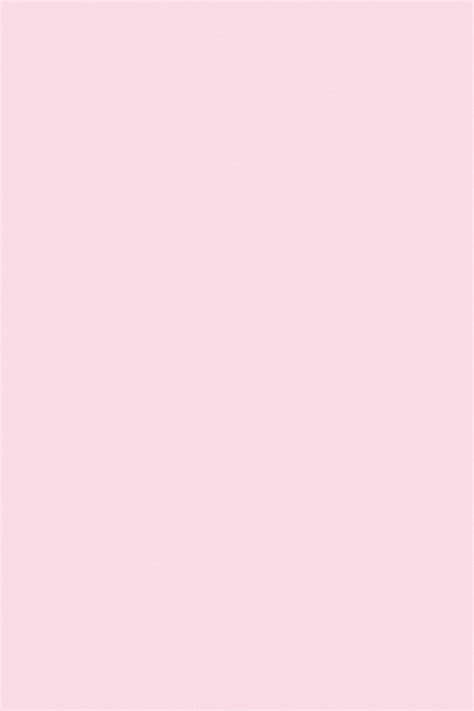 Pink Background Solid Color Simple Flat Color Wallpaper Iphone Pink