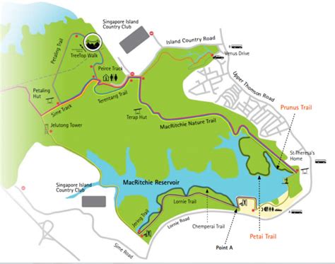 Treetop walk hiking trail | singapore macritchie reservoir. MacRitchie Reservoir Park from Central Water Catchment ...