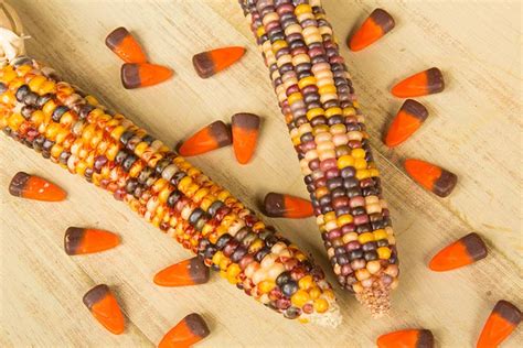 21 Best Ideas Stacked Candy Corn Best Recipes Ideas And Collections