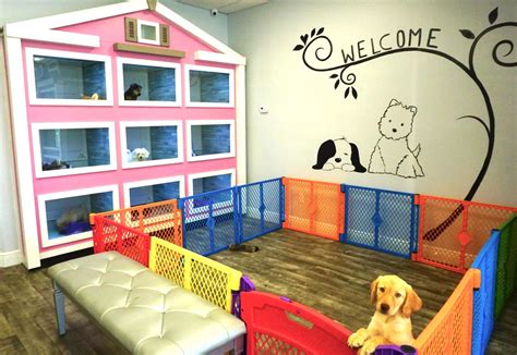 Visit niceville animal clinic in niceville, fl and save 25% on your vet bill with a pet plan by pet assure. Forever Love Puppies, Pembroke Pines Florida (FL ...
