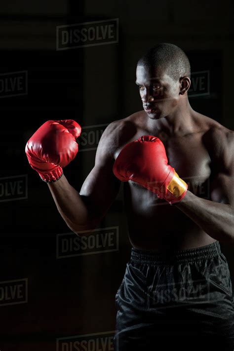 Boxer Wearing Boxing Gloves In Fighting Stance Portrait Stock Photo