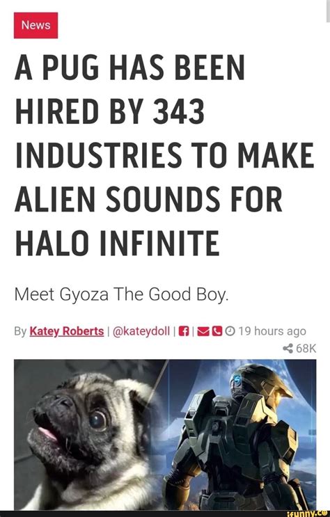 A Pug Has Been Hired By 343 Industries To Make Alien Sounds For Halo
