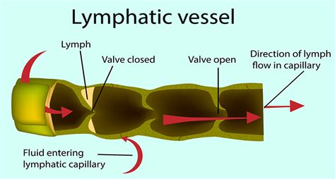 Chronic Pain Treatment In Jupiter Volstad Integrated Wellness