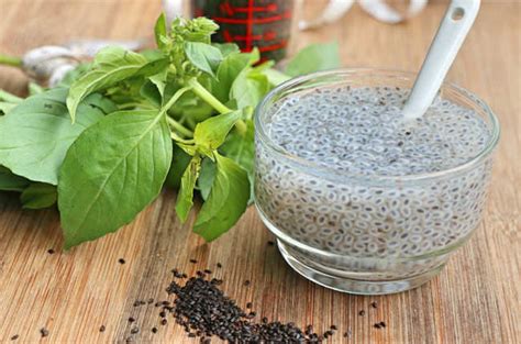 Advantages Of Basil Seeds And Interesting Basil Seed Recipes Times Of