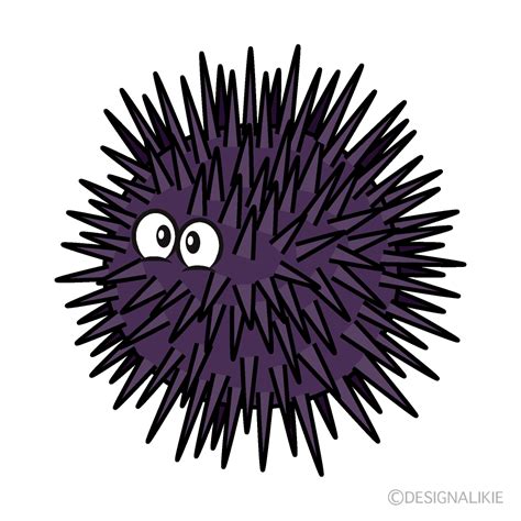Free Sea Urchin Cartoon Image｜charatoon
