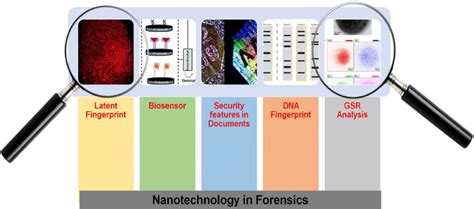 Role Of Nanotechnology In Forensic Download Scientific Diagram