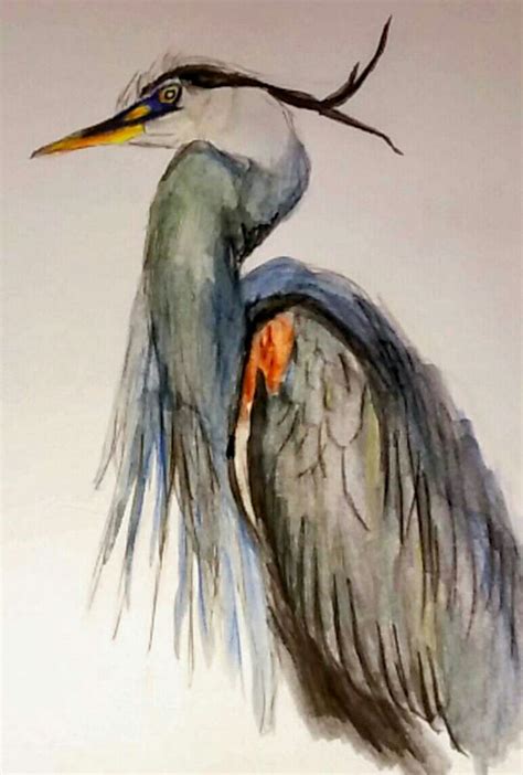 Wading Blue Heron Pattern In Colored Pencil Drawing And Illustration