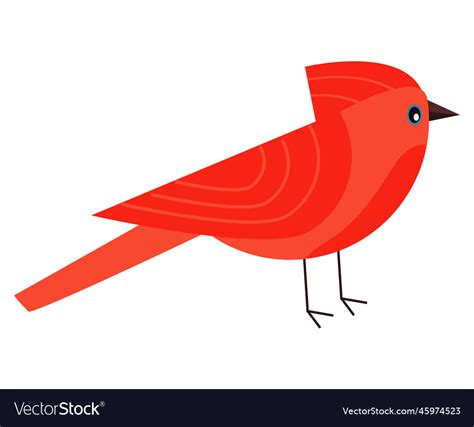 Little Red Bird Royalty Free Vector Image Vectorstock