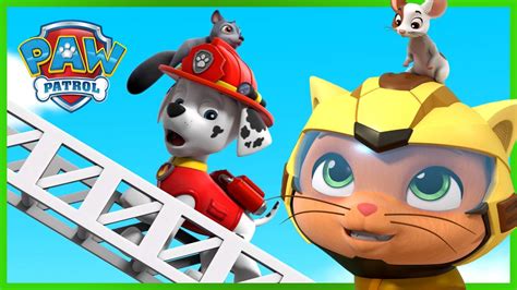 Paw Patrol And Cat Pack Save The Day And More Paw Patrol Cartoons