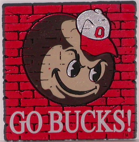 I Am A Buckeys Fan An Amazing Story Of Human Experience Ohio State Canvas Ohio State