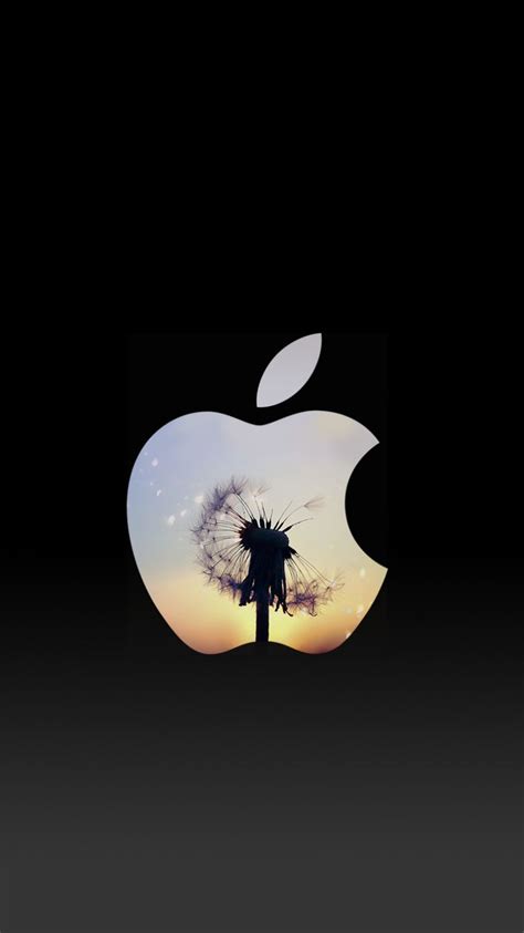 Dandelion Sunset Apple Logo Iphone 6 Lock Screen Wallpaper ♥ Iphone