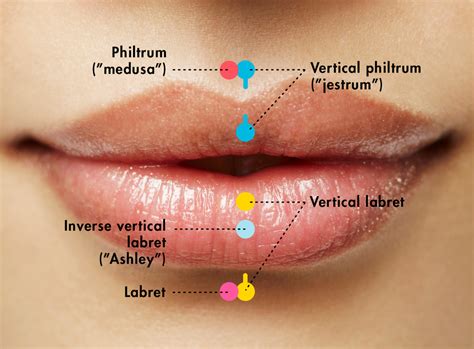Lip Piercings Your Guide To Pain Aftercare And Cost In 2021