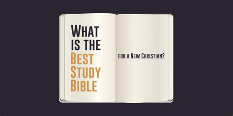 What Is The Best Study Bible For A New Christian