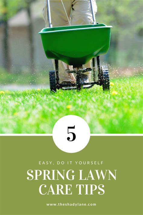 Diy Spring Lawn Care Tips For A Beautiful Healthy Lawn Lawn Care