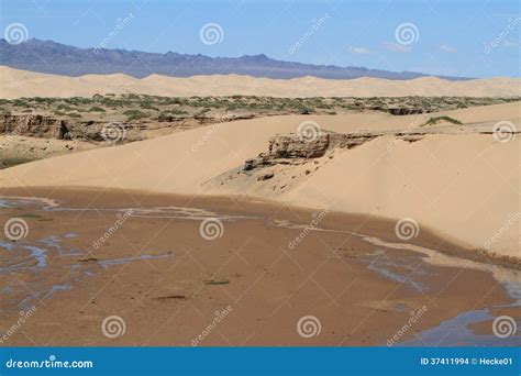 Oasis In The Desert Gobi Stock Images Image 37411994