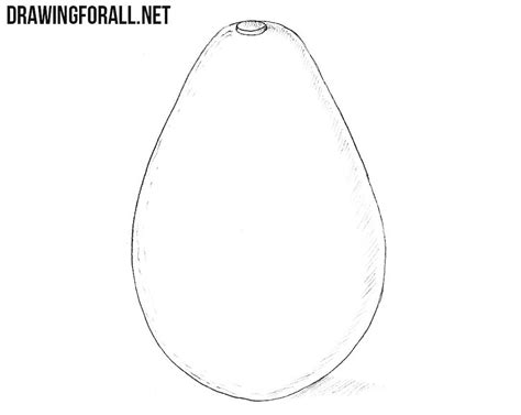 What's a recent episode of something you saw that lacks a dedicated review spot? How to Draw an Avocado