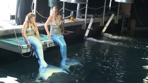 What Its Like To Be A Real Life Mermaid Aol News