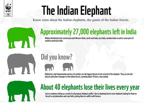 SHER IAS ACADEMY: UPSC GK: Understanding threats to Elephants (ECOLOGY