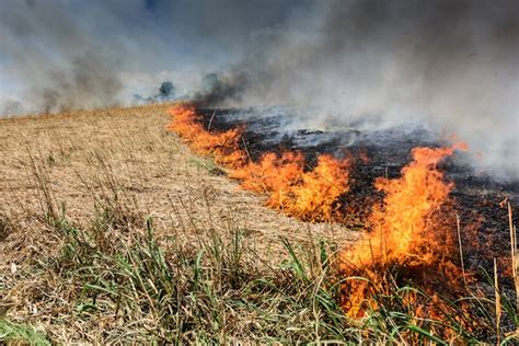 Gran Incendio En El Campo Agr Cola Contaminaci N Por Humo Quema De Ca As Secas Y Hierba