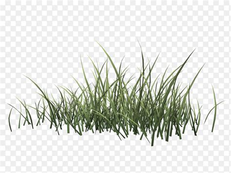 Grass Alpha Texture