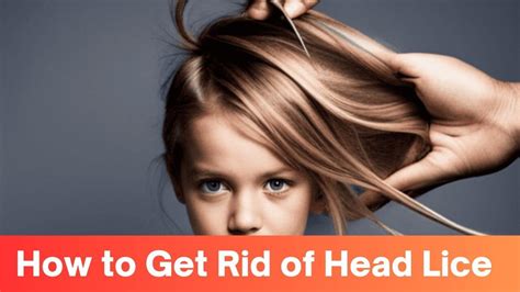 Effective Ways How To Get Rid Of Head Lice A Comprehensive Guide