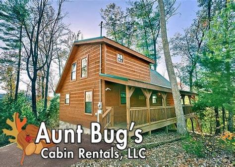 We update listings every 5 minutes. Pigeon Forge Cabin Rental Specials, Gatlinburg Cabin ...