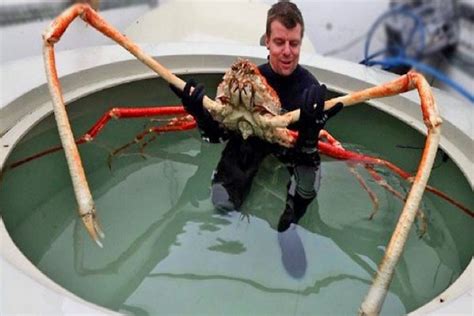 Ten Of The Worlds Biggest Crustaceans And Where To Find Them Top 10