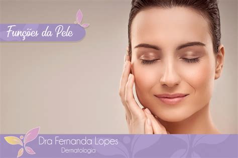 Dra Fernanda Lopes Dermatologia Blog Funções Da Pele