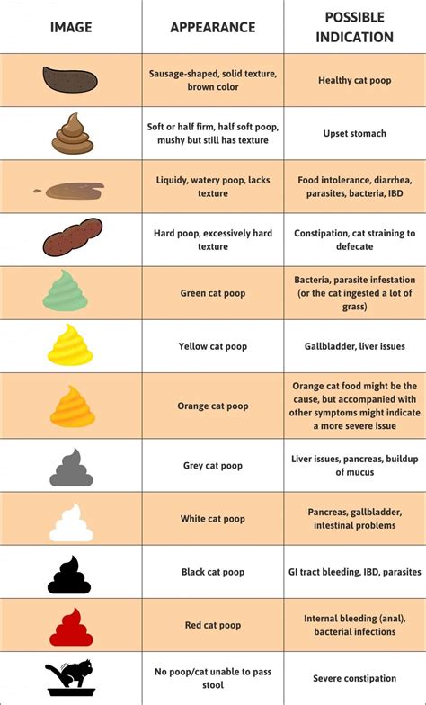 Importance Of Cat Poop Color Chart Understanding Felines Color Of