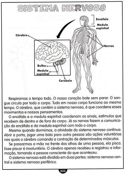 Escola Saber Atividades Ci Ncias Ano Ensino Fundamental