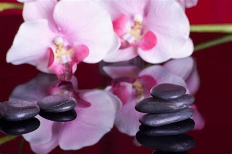 zen massage spa fleur orchidée détente wellness bien être relaxation pierre noire galet