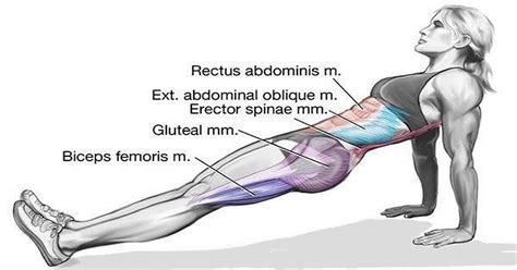 It specifically trains your abs and core muscles. Do Reverse Plank To Tighten Your Core and Lower Body