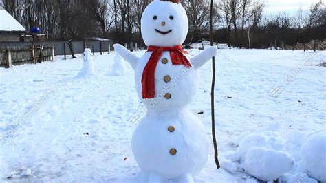 Snowman Face Close Up Snowmans Smile Muzzle Of Snovman New Year