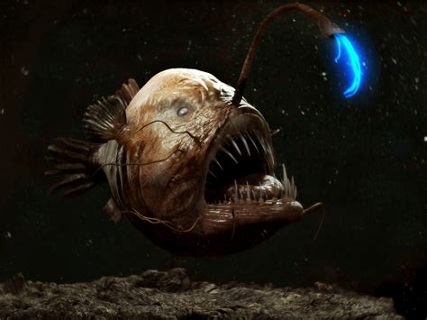 Deep Sea Creatures: 7 Of The Most Mysterious Ocean Animals