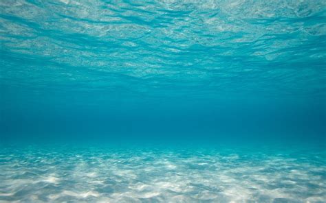 Under Ocean Wallpapers Top Free Under Ocean Backgrounds Wallpaperaccess