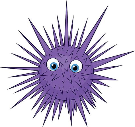 Cartoon Of A Sea Urchins Illustrations Royalty Free Vector Graphics
