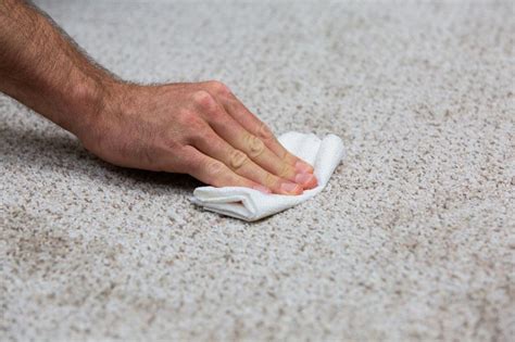 Four Simple Tips To Remove Coffee Stains From Carpet Sant Magazine