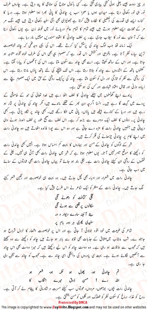 Chandni Raat Urdu Essay Chandni Raat Chand Par Mazmoon With Poetry Shayari