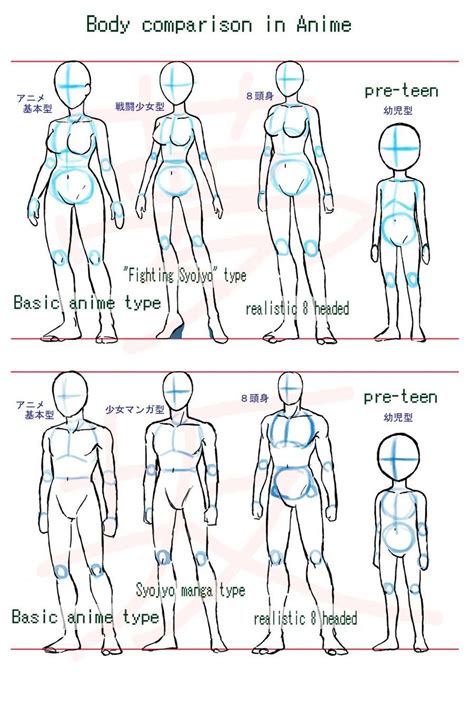 Anime Body Style Comparison Drawing Anime Bodies Drawing Body Poses