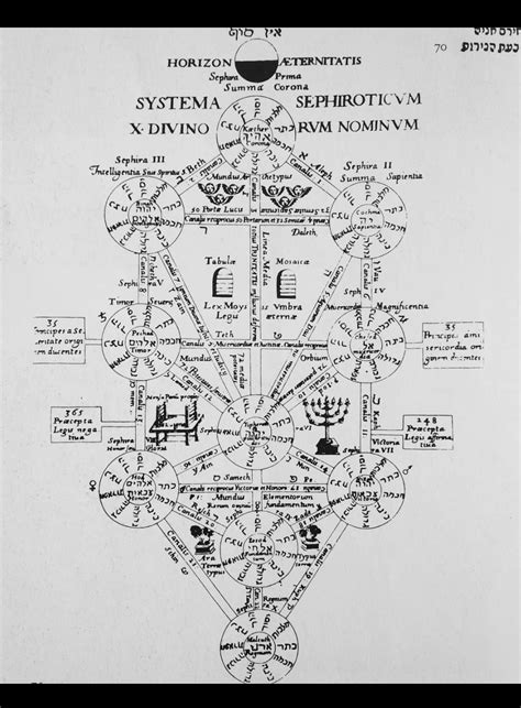 Sephirotic Tree Of Life — Kathryn Knight Sonntag