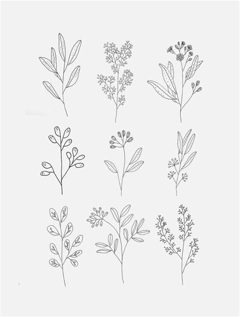 30 Ways To Draw Plants And Leaves Botanical Line Drawing Flower Line