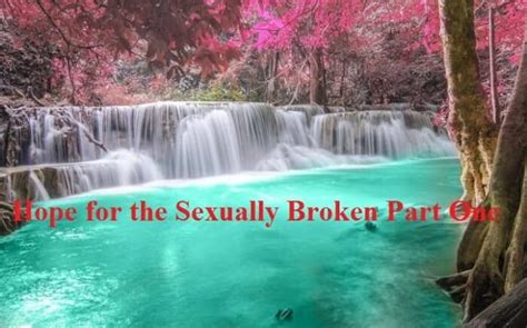 Hope For The Sexually Broken Part One Servants Of Grace